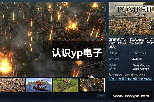 认识yp电子