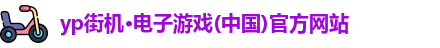 yp电子